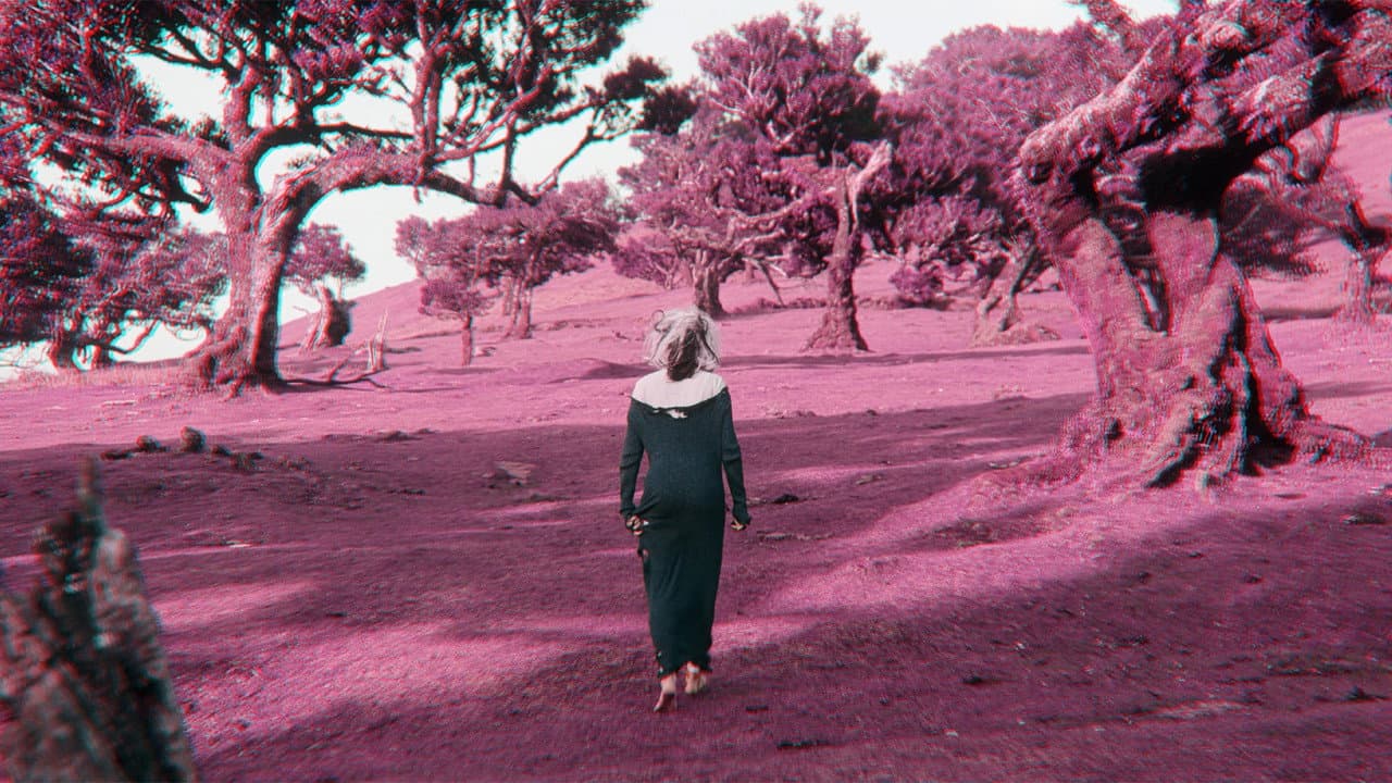 Backdrop – CREATURE