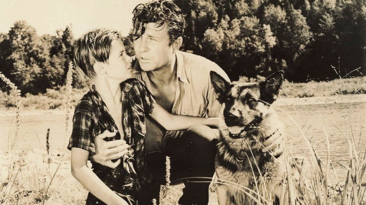 Backdrop – Wolf Dog