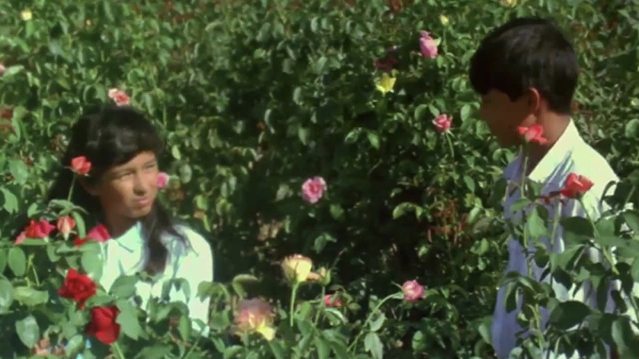 Backdrop – ผีเสื้อและดอกไม้