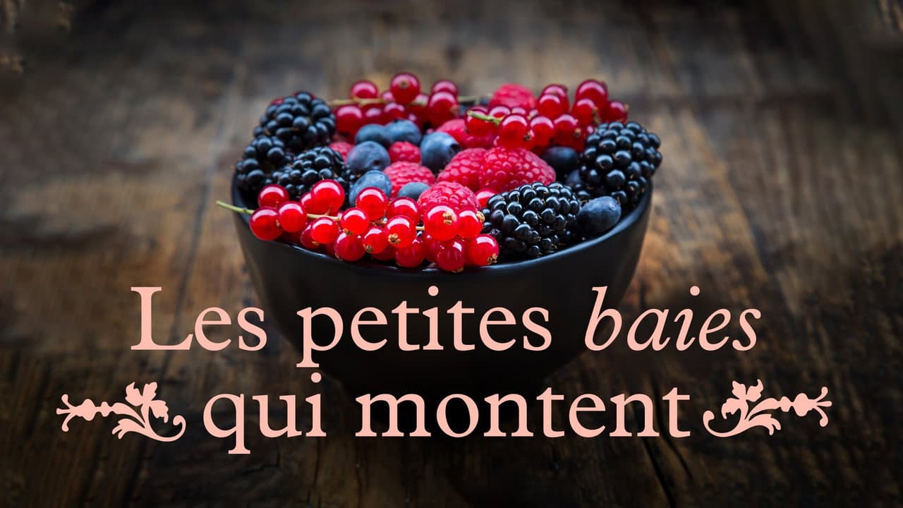 Backdrop – Les petites baies qui montent