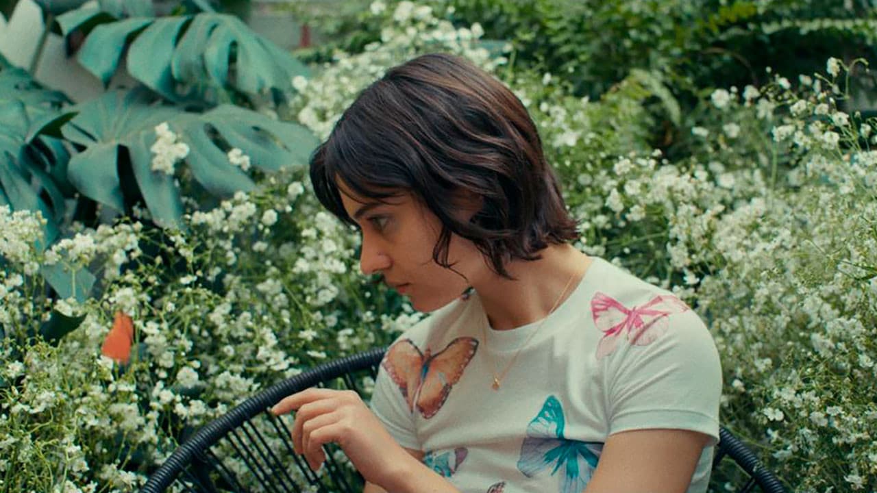 Backdrop – Crisálida