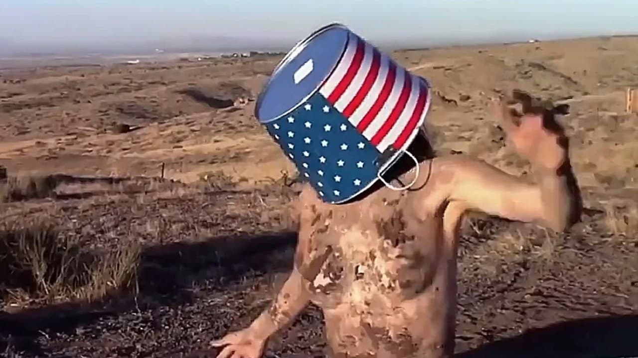 Backdrop – The Great American Mud Wrestle