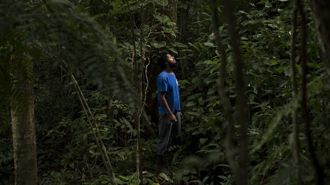 Backdrop – Dos Antigos aos Filhos do Amanhã