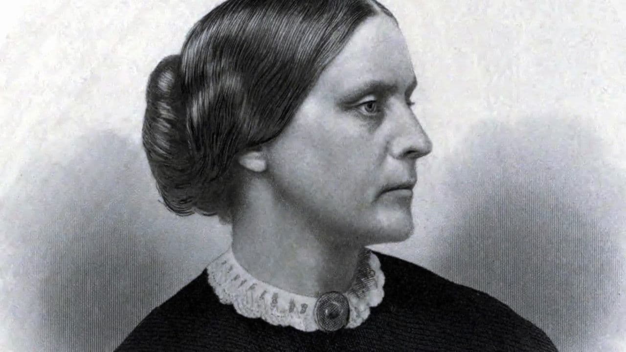 Backdrop – Rebel Wife