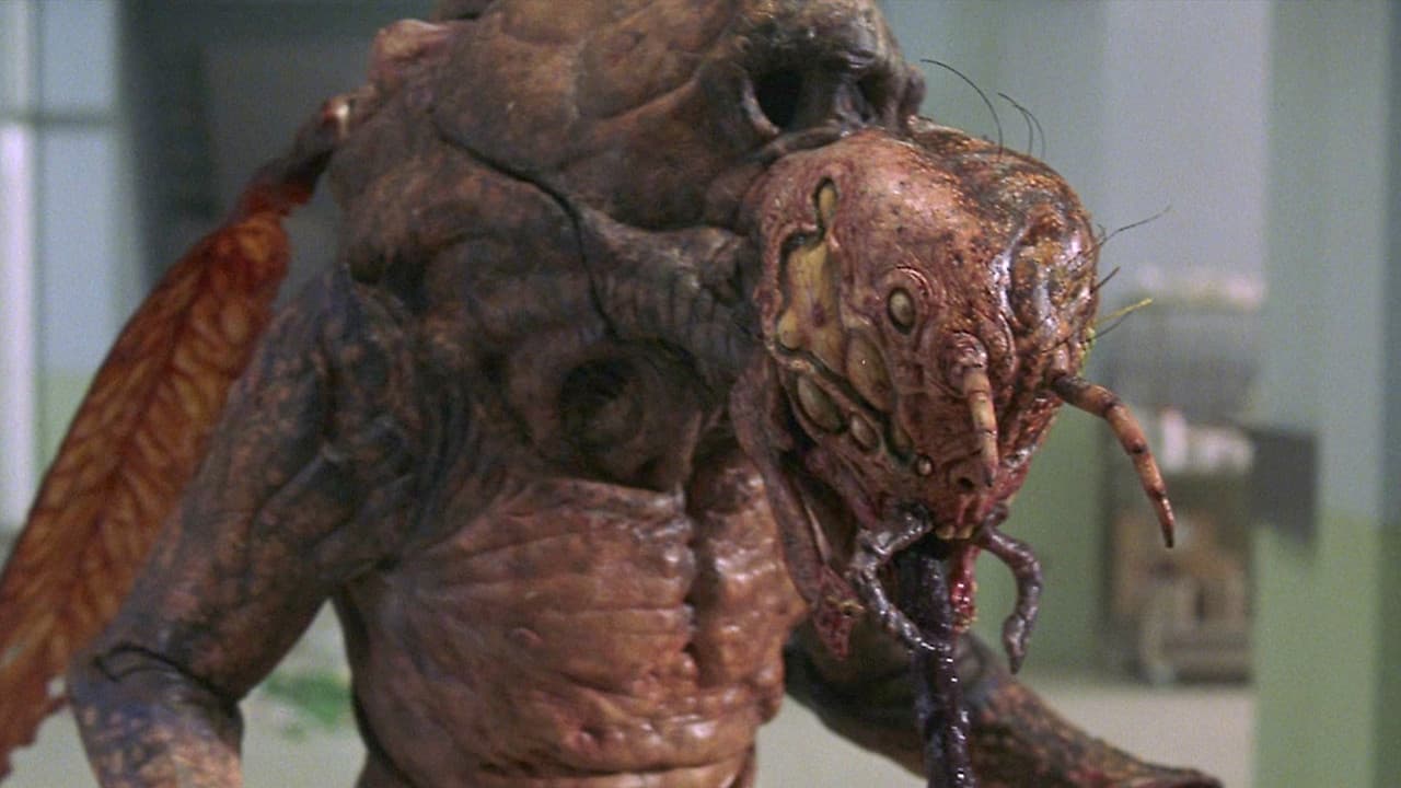 Backdrop – Mosquito Man