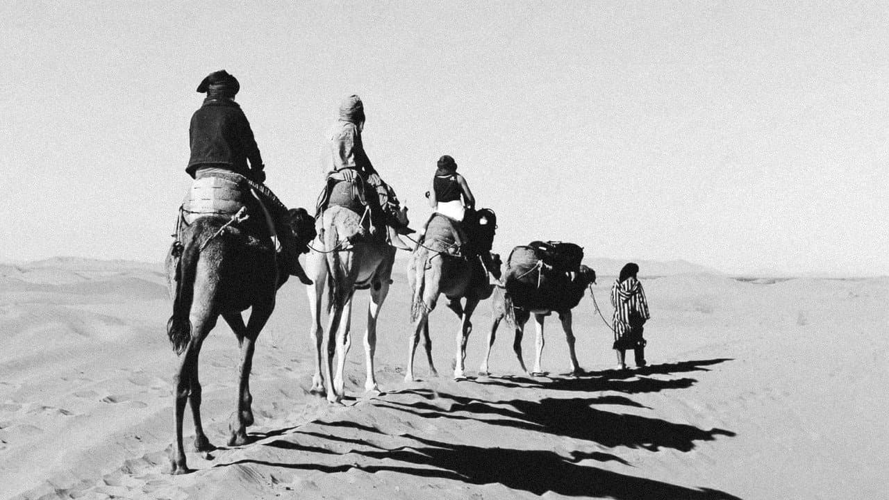 Backdrop – بناديق الحورية (Banâdiq El-Houria )