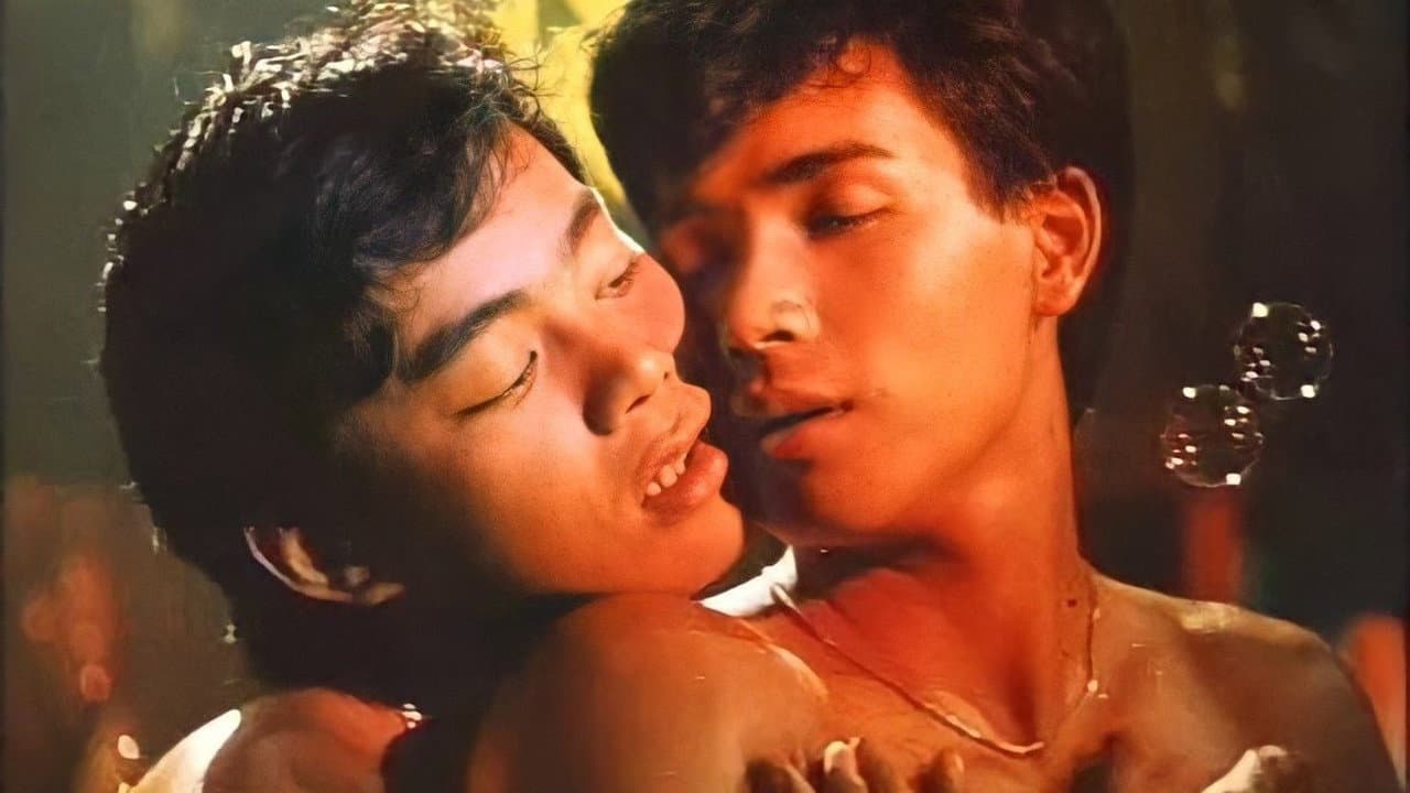 Backdrop – Macho Dancer