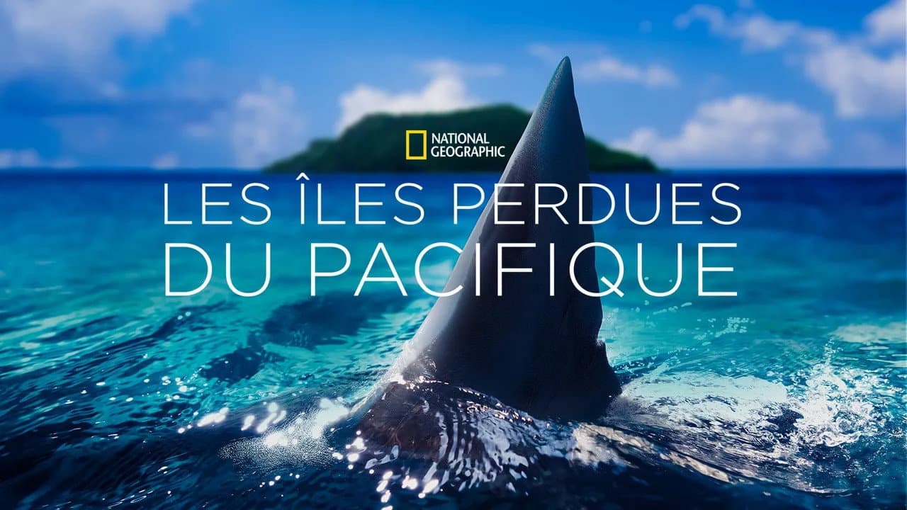 Backdrop – Sharks of Lost Island