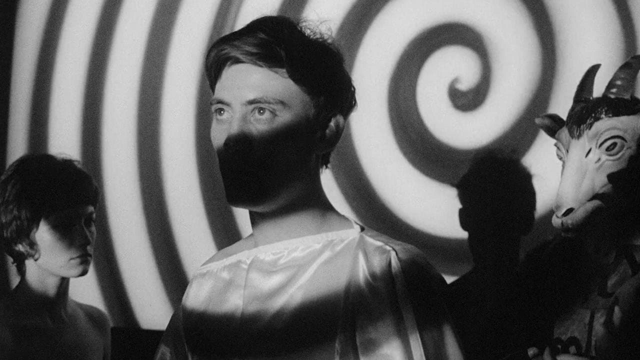 Backdrop – Legend of the Witches