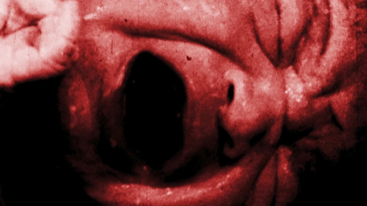 Backdrop – La Mañana que cambió el Mañana