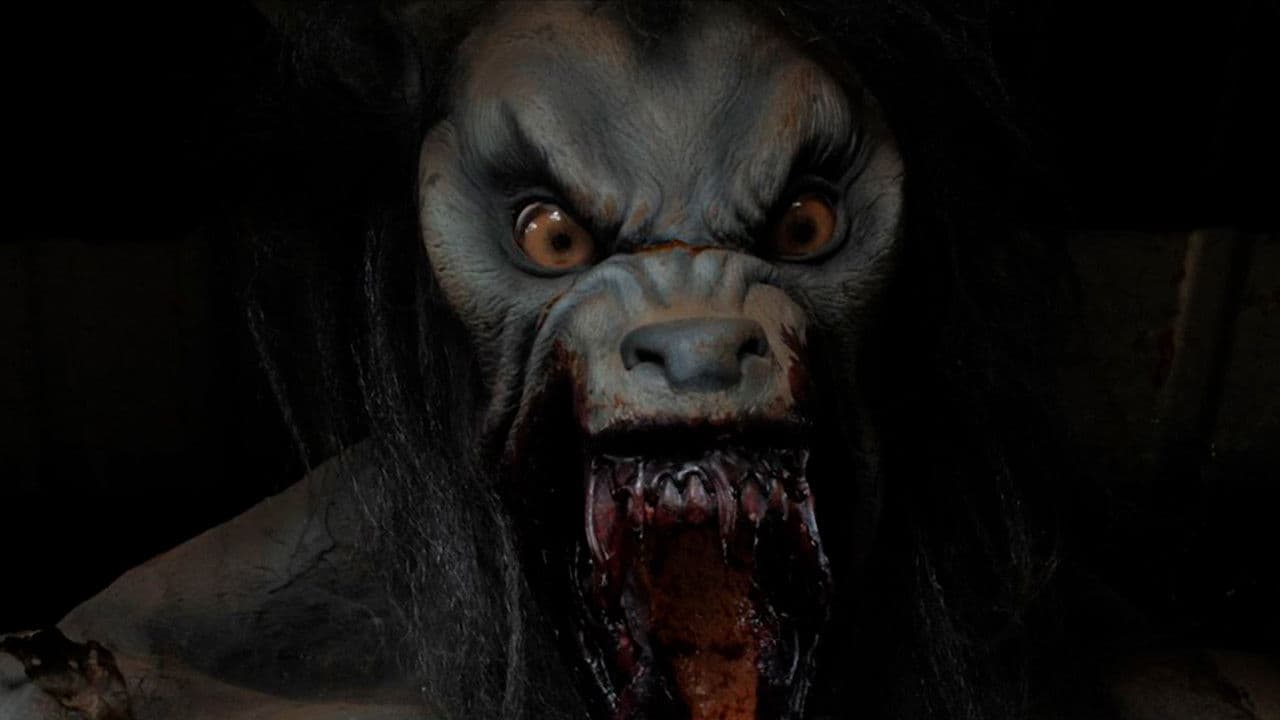 Backdrop – Autumn Road