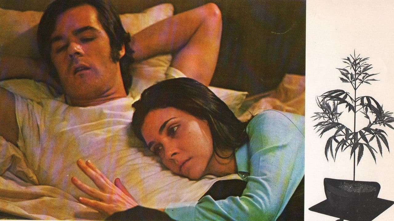 Backdrop – Dealing: Or the Berkeley-to-Boston Forty-Brick Lost-Bag Blues