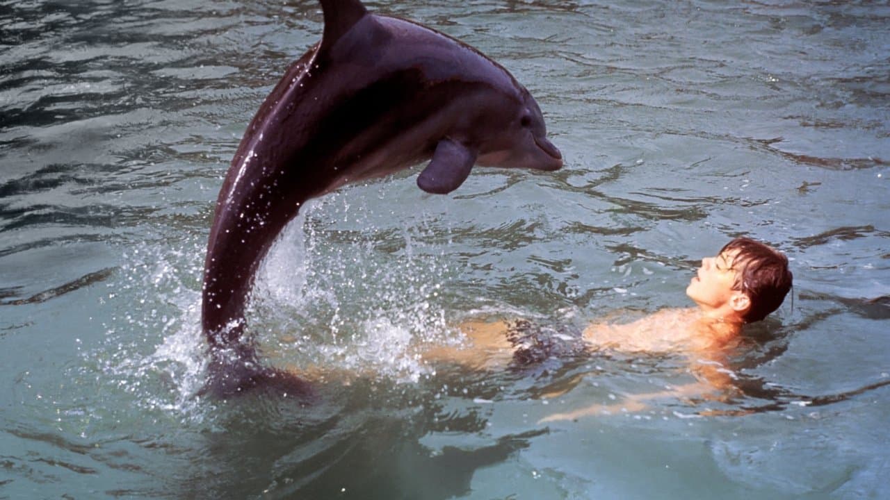 Backdrop – Neues Abenteuer mit Flipper