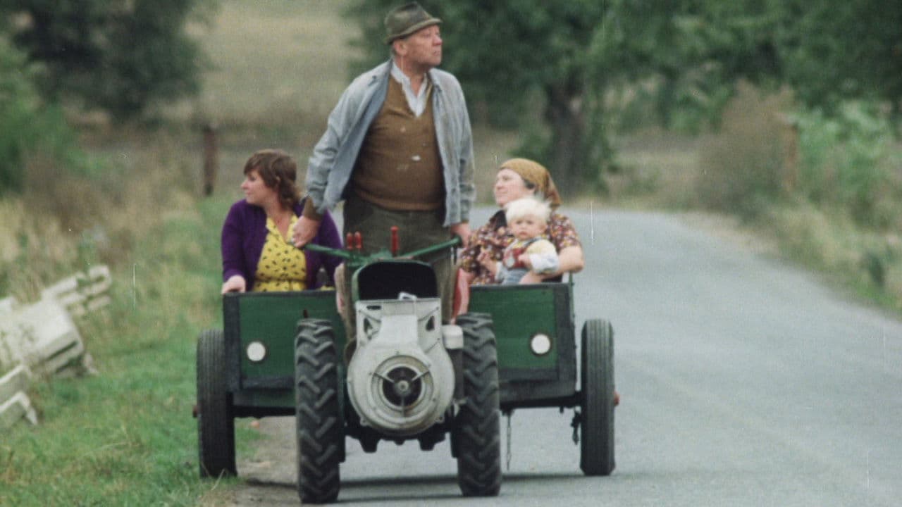 Backdrop – Das Wildschwein ist los