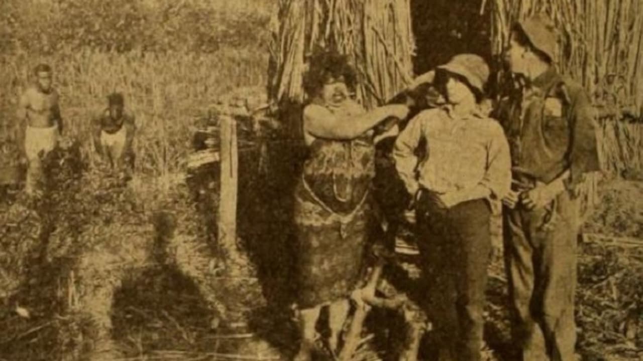 Backdrop – Love Aflame