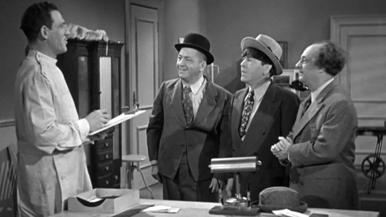 Backdrop – Monkey Businessmen