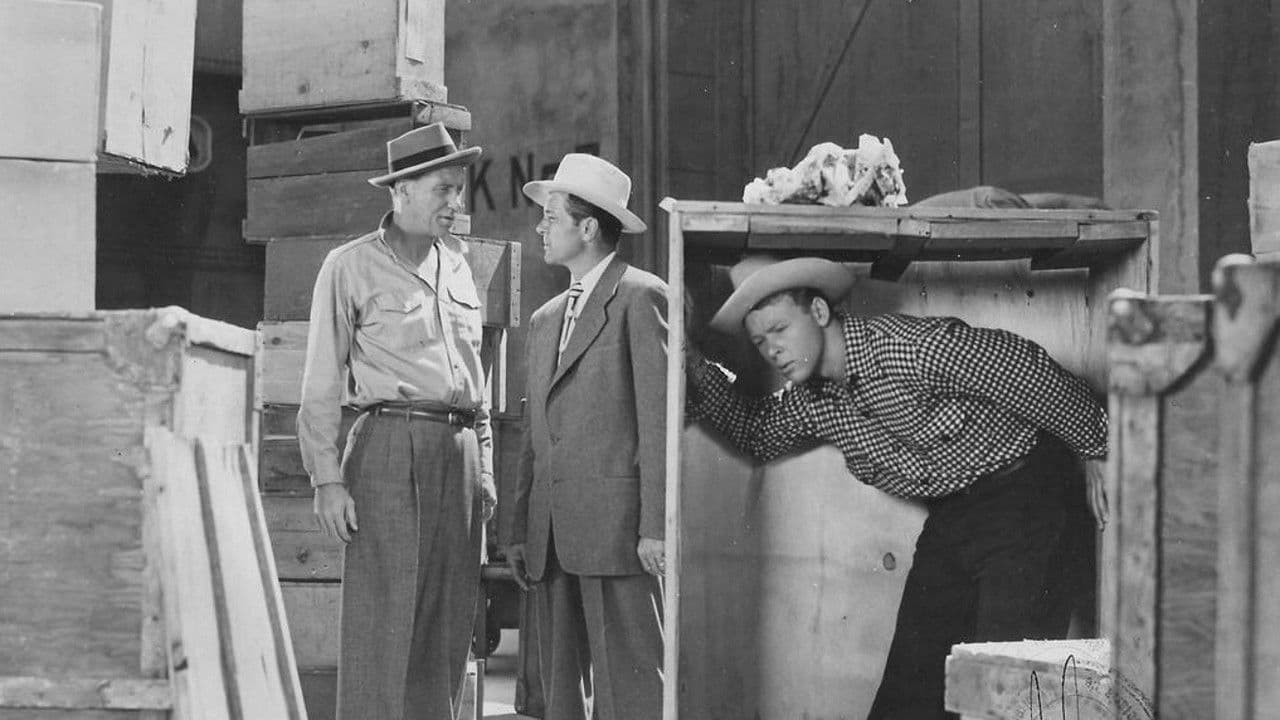 Backdrop – Bruce Gentry