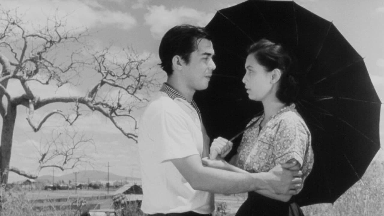 Backdrop – Malvarosa