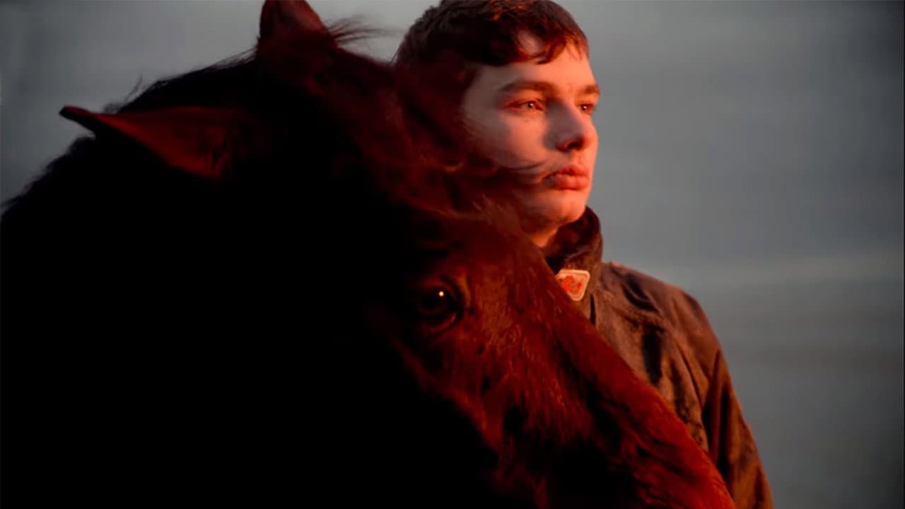 Backdrop – Solarium