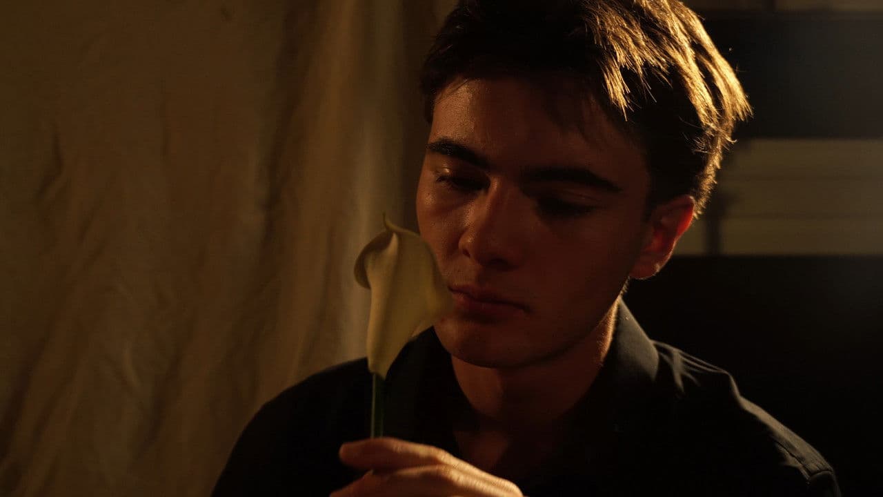 Backdrop – Narciso