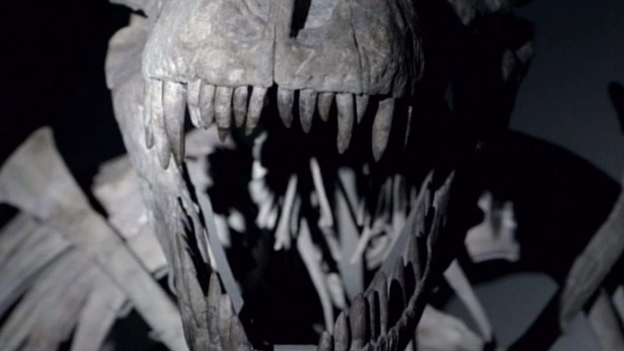 Backdrop – T-Rex Code - Die Gene des Jagdsauriers