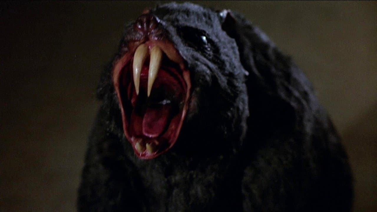 Backdrop – Night Eyes