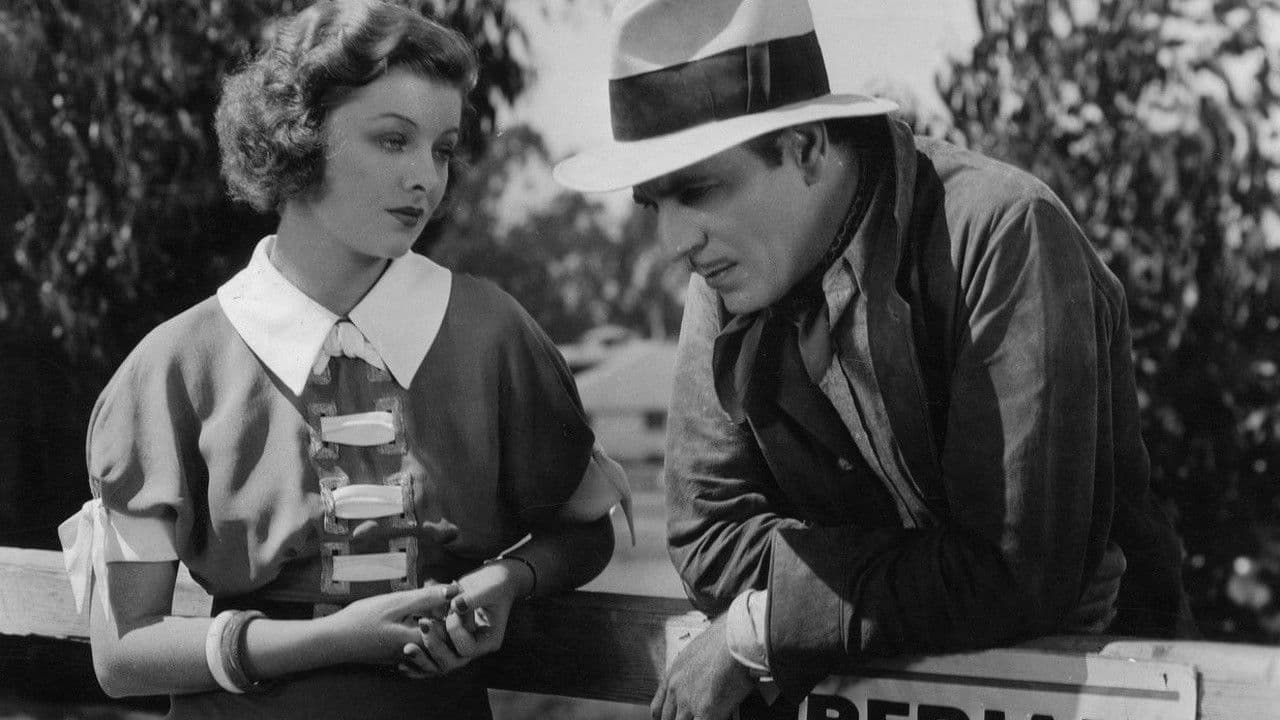 Backdrop – Broadway Bill