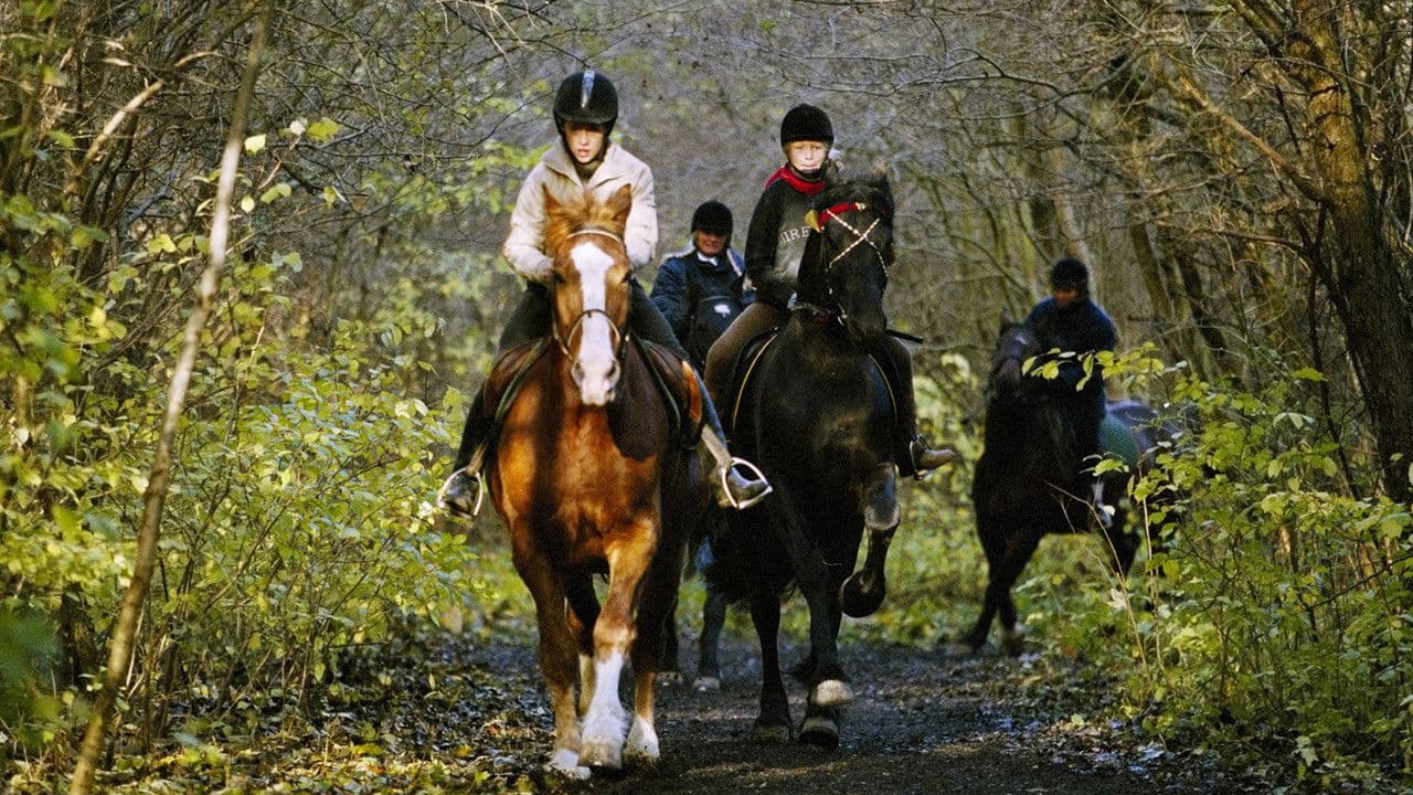Backdrop – Zafir - Der schwarze Hengst
