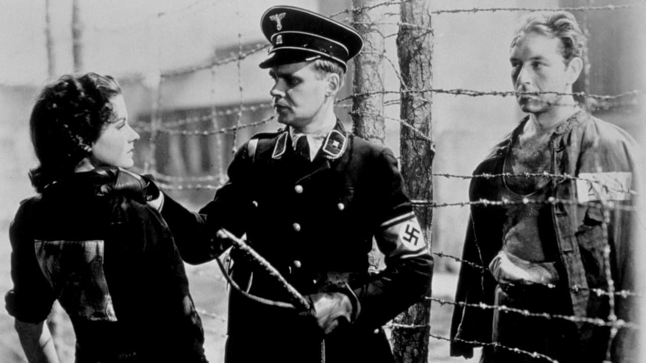 Backdrop – Night Train to Munich