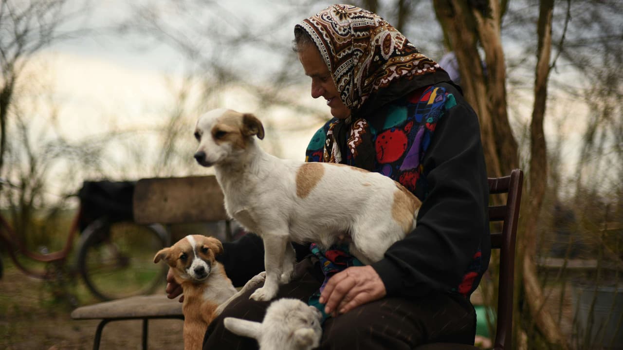 Backdrop – Bukolika