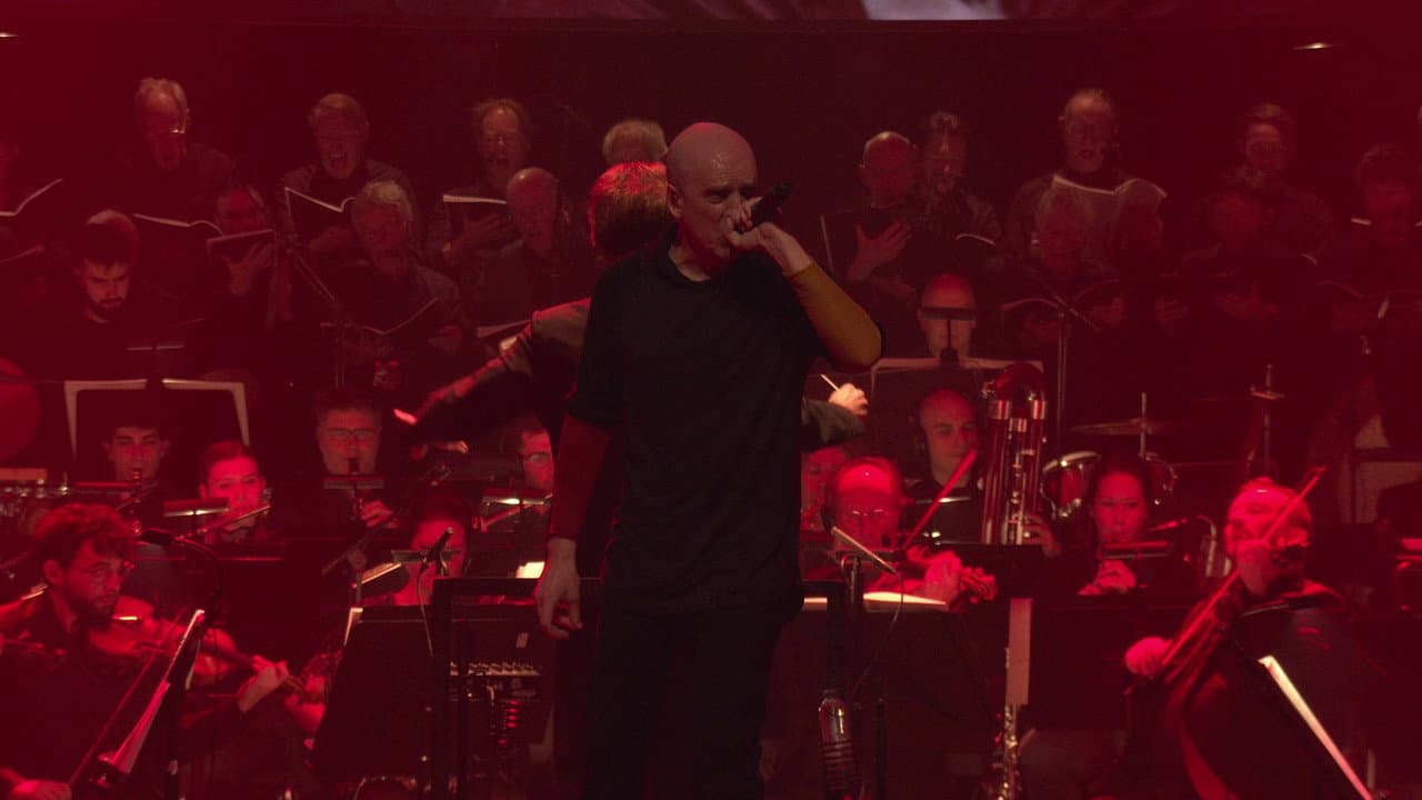 Backdrop – Devin Townsend: The Moth