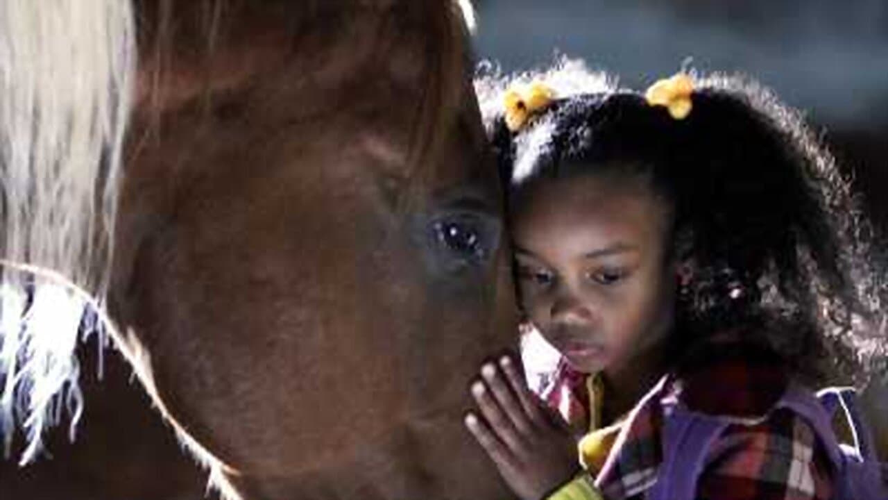 Backdrop – Bedingungslos