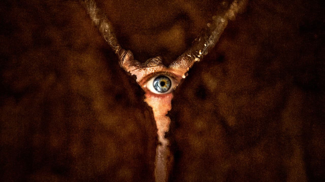 Backdrop – Return to Silent Hill