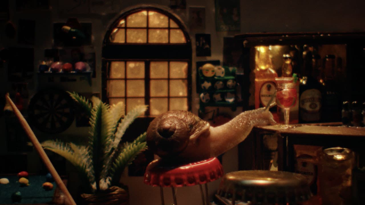 Backdrop – Lovebugs