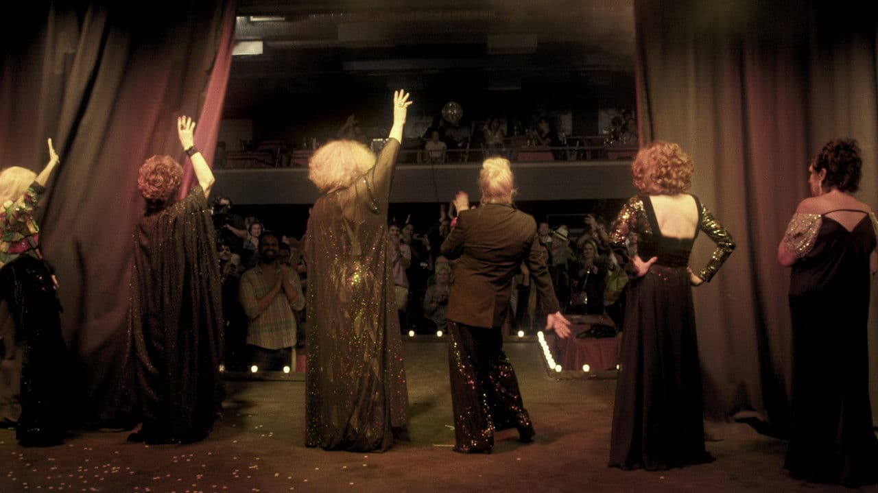 Backdrop – Divinas Divas