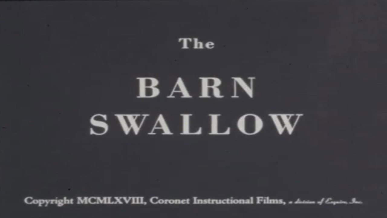 Backdrop – The Barn Swallow