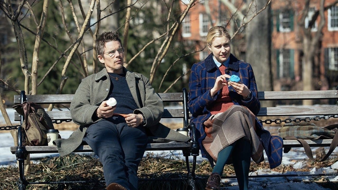 Backdrop – Maggies Plan