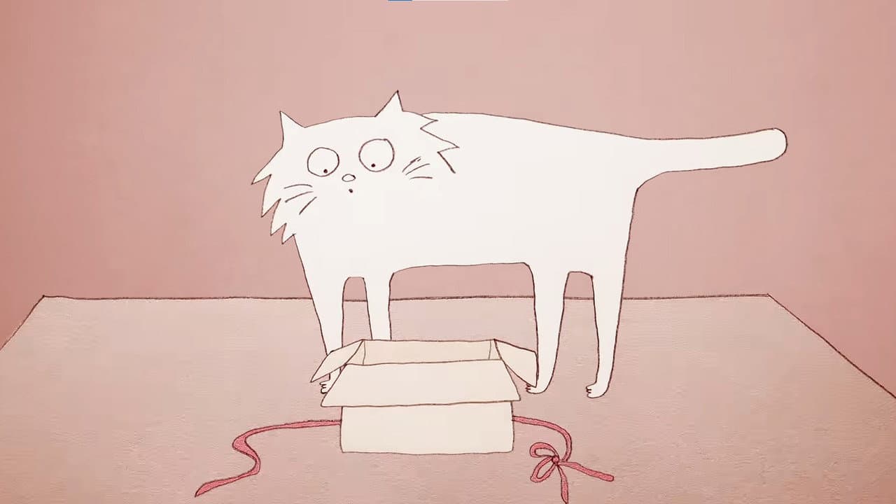 Backdrop – Why Do Cats Act So Weird?
