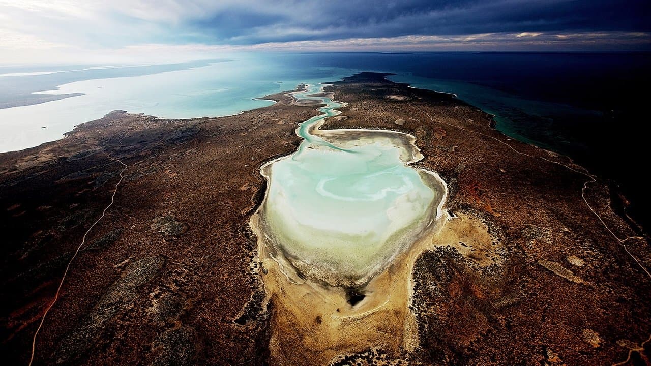 Backdrop – Planet Ocean