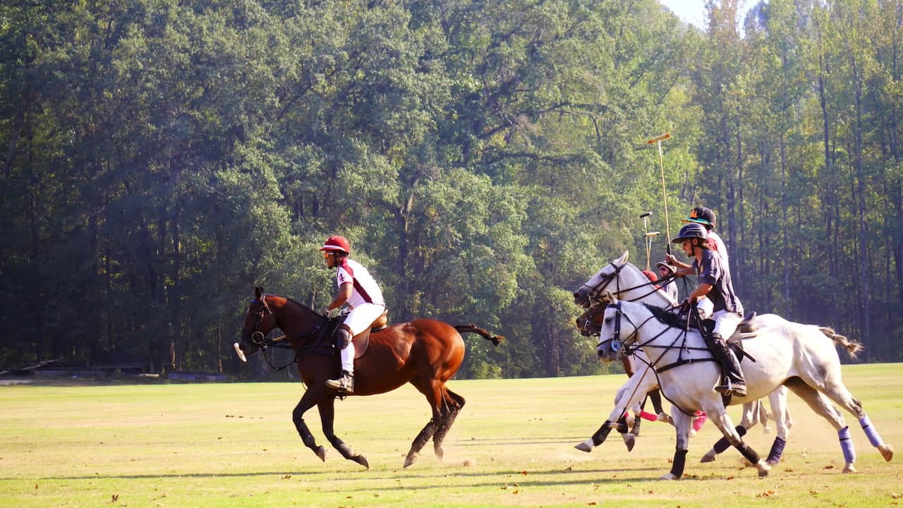 Backdrop – From Rodeo to Polo: The 1st HBCU Polo Team