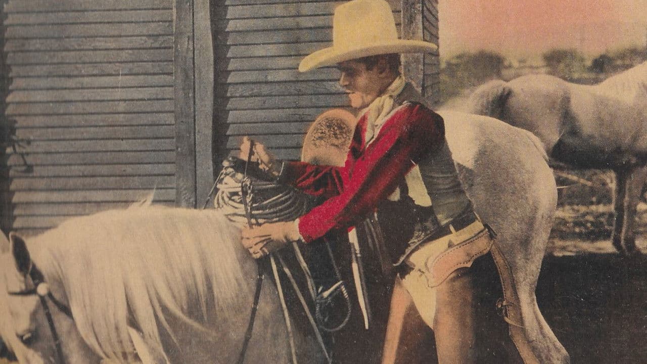 Backdrop – Senor Daredevil