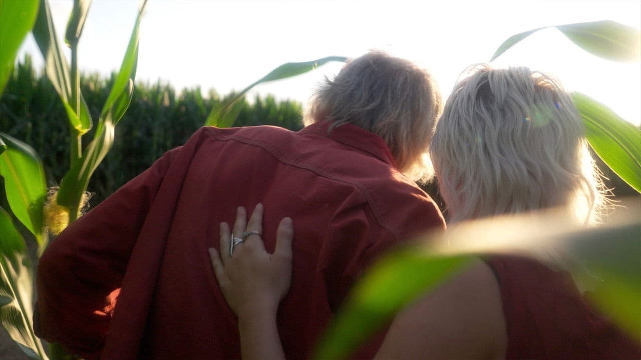 Backdrop – Citrinitas