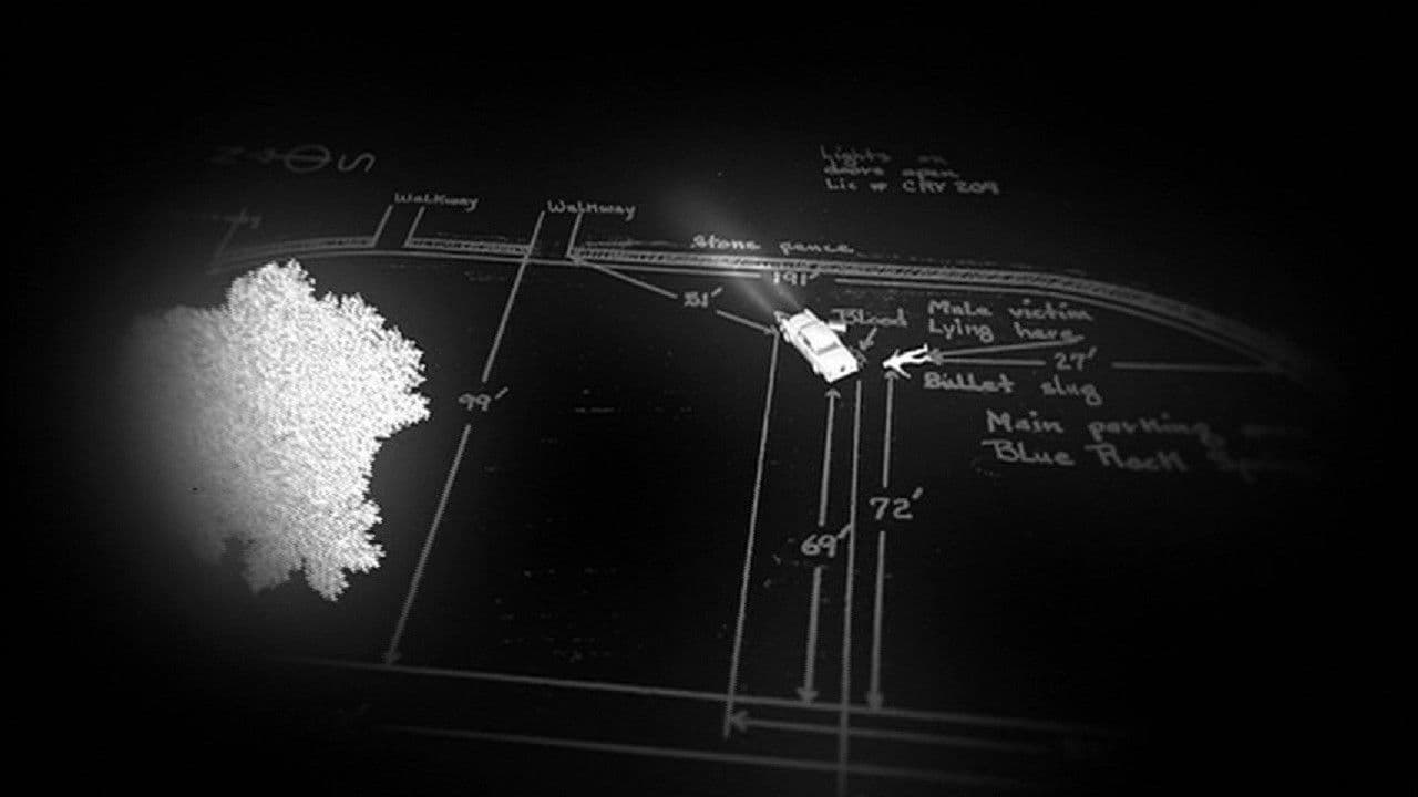 Backdrop – This Is the Zodiac Speaking