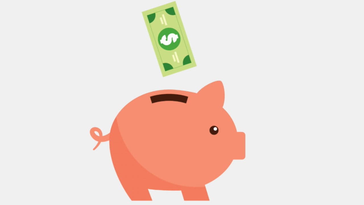 Backdrop – Pay Pig