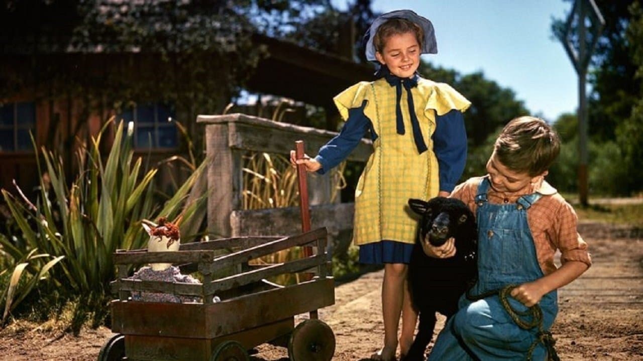 Backdrop – Ein Champion zum Verlieben