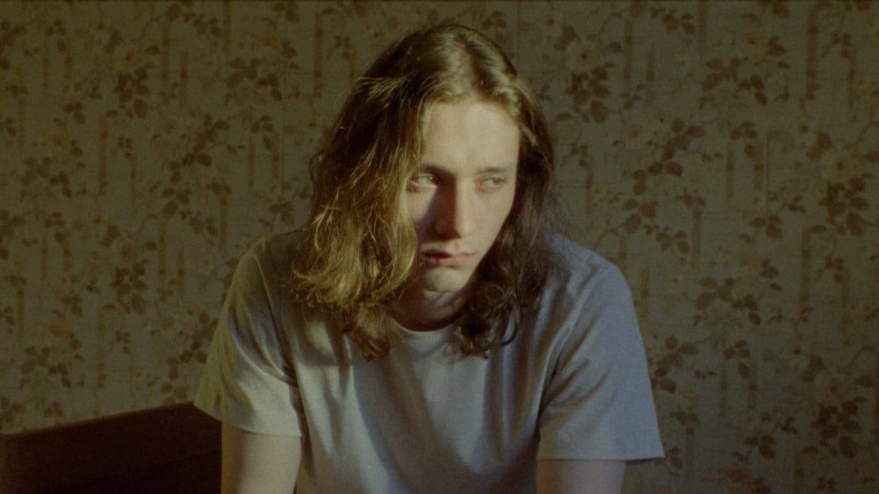 Backdrop – Blue Whale