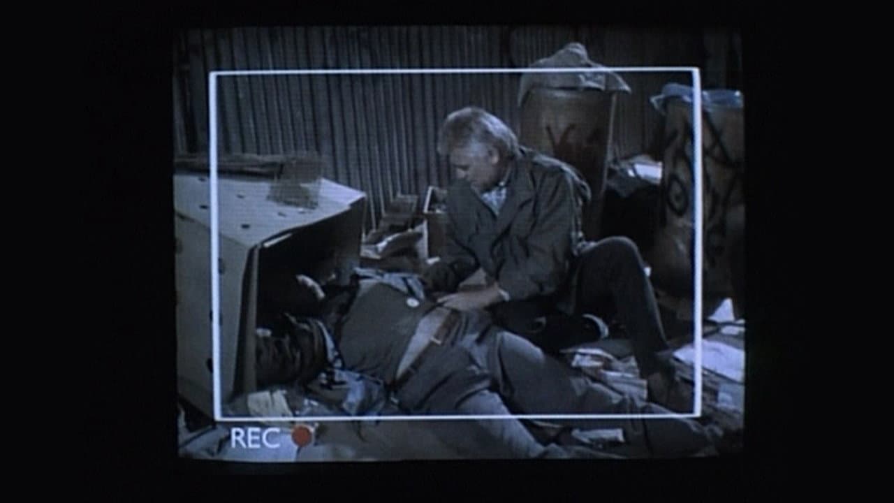 Backdrop – Stringer