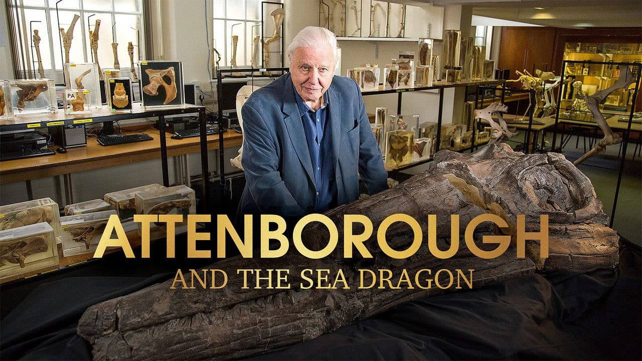 Backdrop – Attenborough and the Sea Dragon