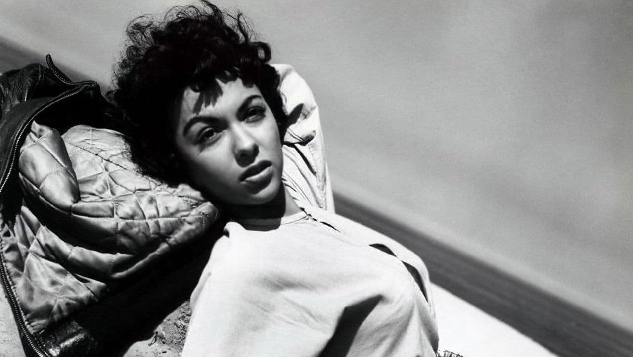 Backdrop – El Alaméin