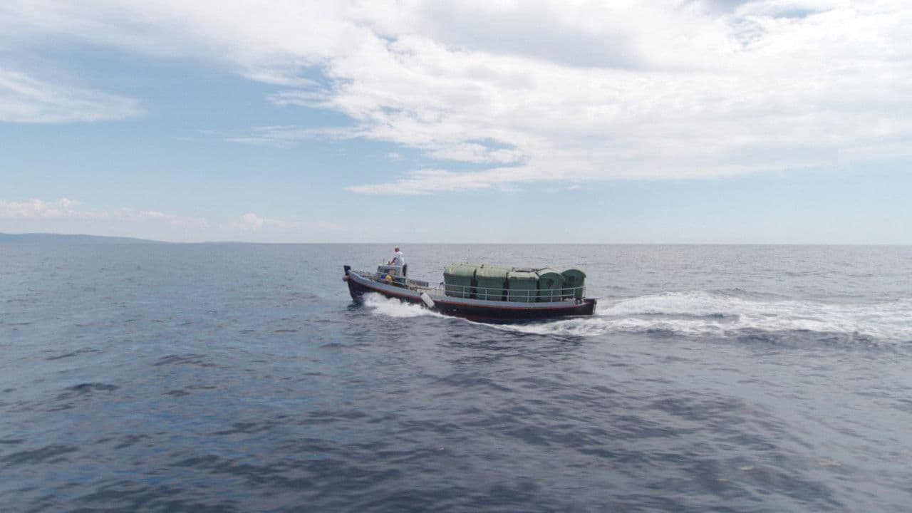 Backdrop – Matter Out of Place